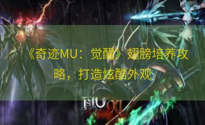 《奇迹MU：觉醒》翅膀培养攻略，打造炫酷外观