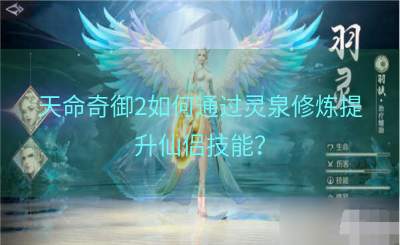 天命奇御2如何通过灵泉修炼提升仙侣技能？