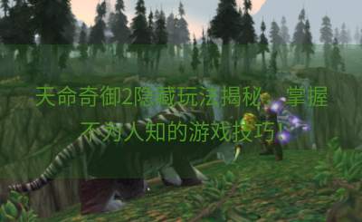 天命奇御2隐藏玩法揭秘，掌握不为人知的游戏技巧！