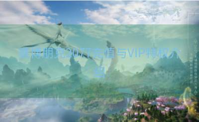 赛博朋克2077充值与VIP特权介绍