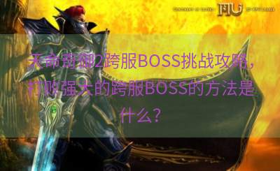 天命奇御2跨服BOSS挑战攻略，打败强大的跨服BOSS的方法是什么？