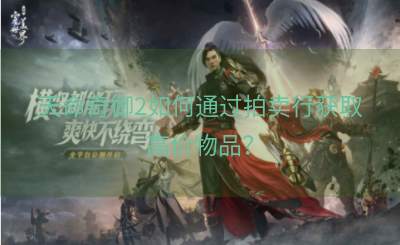 天命奇御2如何通过拍卖行获取高价物品？