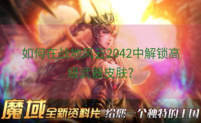 如何在战地风云2042中解锁高级武器皮肤？
