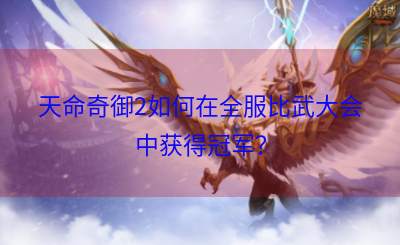 天命奇御2如何在全服比武大会中获得冠军？