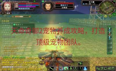 天命奇御2宠物养成攻略，打造顶级宠物团队。