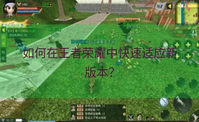 如何在王者荣耀中快速适应新版本？