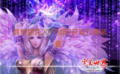 赛博朋克2077如何获取珍稀装备？