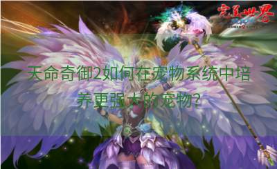天命奇御2如何在宠物系统中培养更强大的宠物？