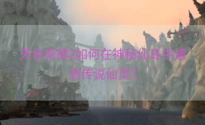 天命奇御2如何在神秘仙岛中遇到传说仙灵？