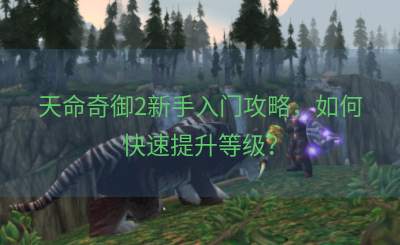 天命奇御2新手入门攻略，如何快速提升等级？