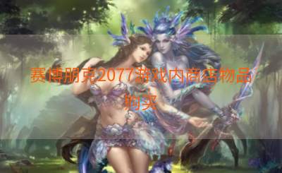 赛博朋克2077游戏内商店物品购买