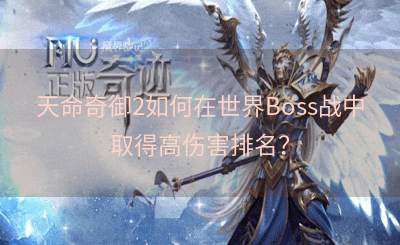 天命奇御2如何在世界Boss战中取得高伤害排名？